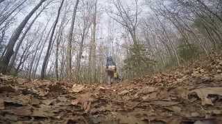 Walk Over - Sister Hazel With Title