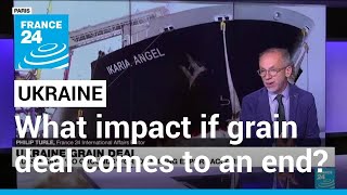 Russia says 'no grounds' for extending Ukraine grain deal • FRANCE 24 English