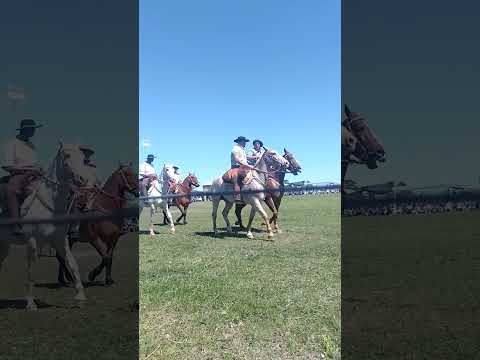 agrupación gaucha de ubajay entre ríos.argentina 🇦🇷