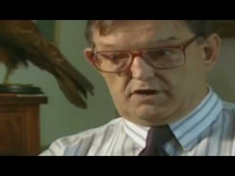 Decisive Weapons S01 E06 Leaping Jet Flash Harrier Leap & S02 E05 Soul Of The Samurai Japanese Sword