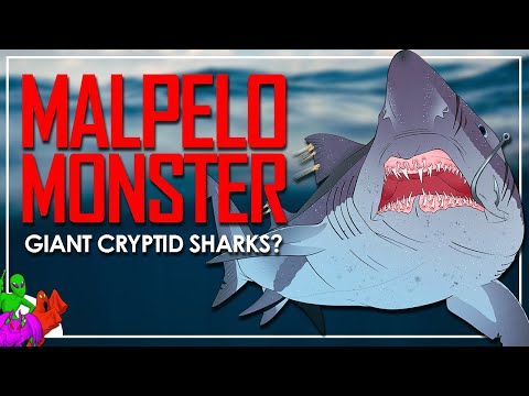 Legend Of The Malpelo Monster | Are There Really Giant Sharks? | Sea Monsters Of The World