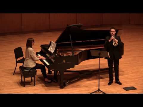 Stefan Fillip, Junior Solo Division, 2017 – Concertino