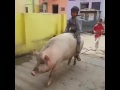 Mai Nikla Gaddi Le K
