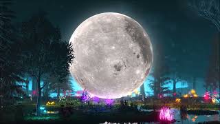 Sinead O&#39;Connor - Jealous