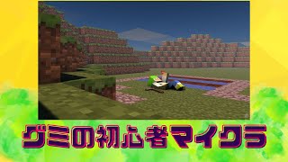 初心者がゆったりマイクラしていくよ　part9