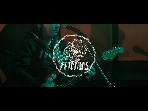 371 CABINA DEL TERROR - PETUNIAS