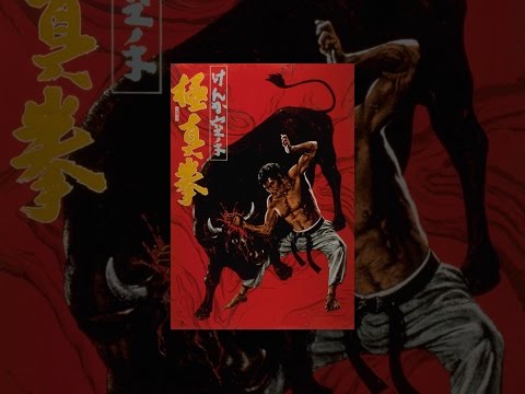 けんか空手　極真拳