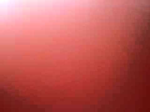 2 Minuten Wallenrod PUR,der größte Streit der Menschheitsgeschichte!!!!!