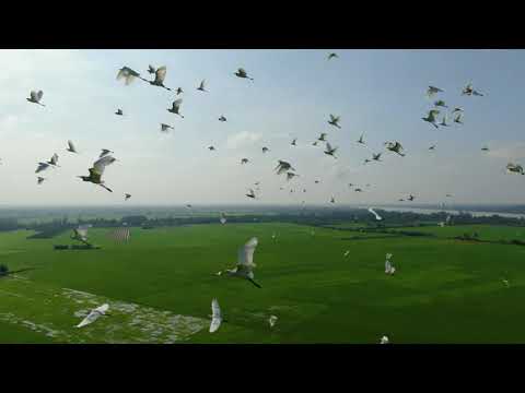 Fields - Winter Foe