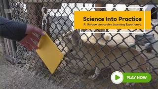 I'm Still Buzzing! Science Into Practice Immersion