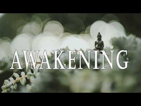 Awakening: Turning the Mind Toward the Dharma by Joseph Goldstein