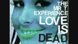 The Mr. T Experience - I Just Wanna Do It with You