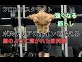 ポステリアチェインを鍛えろ！フロントスクワット[FRONT SQUAT]