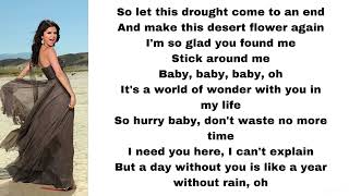 Selena Gomez &amp; The Scene - A year without rain (lyrics)
