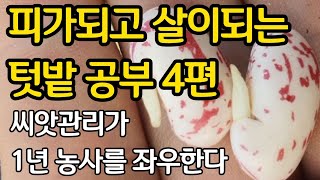 미리 하는 텃밭 공부 4편 - 씨앗관리가 1년 농사를 좌우한다