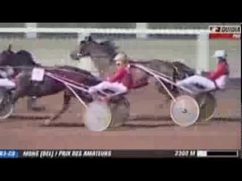 Barack Flevo & Piet van Pollaert winnen "Prix Des Amateurs Belgique" - Mons 25 dec. 2013