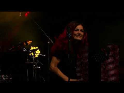 Musikhof Live - BluTower || Stream 1/6 || #LiveStream