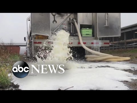 ウィスコンシン州の上院議員は、食品廃棄物の懸念について話す l ABCニュース (Wisconsin senator speaks on food waste concerns l ABC News)