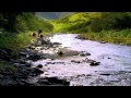 Grizzly Man Ending