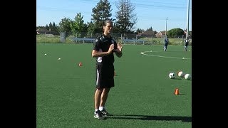 Soccer-Specific Speed, Agility and Quickness, On the Field, With the Ball