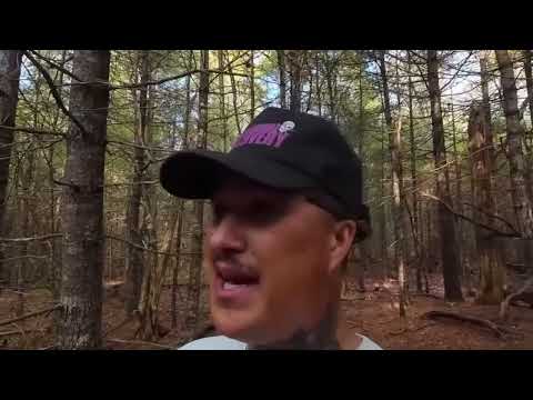 40 Gruselige Aufnahmen Aus Dem Wald (JANUAR 2025 SUPERCUT)