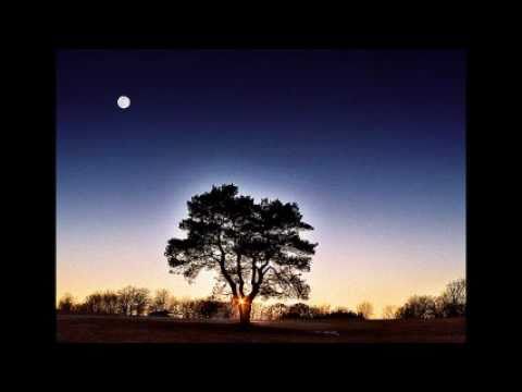 Infamous D-"Gang Banging"