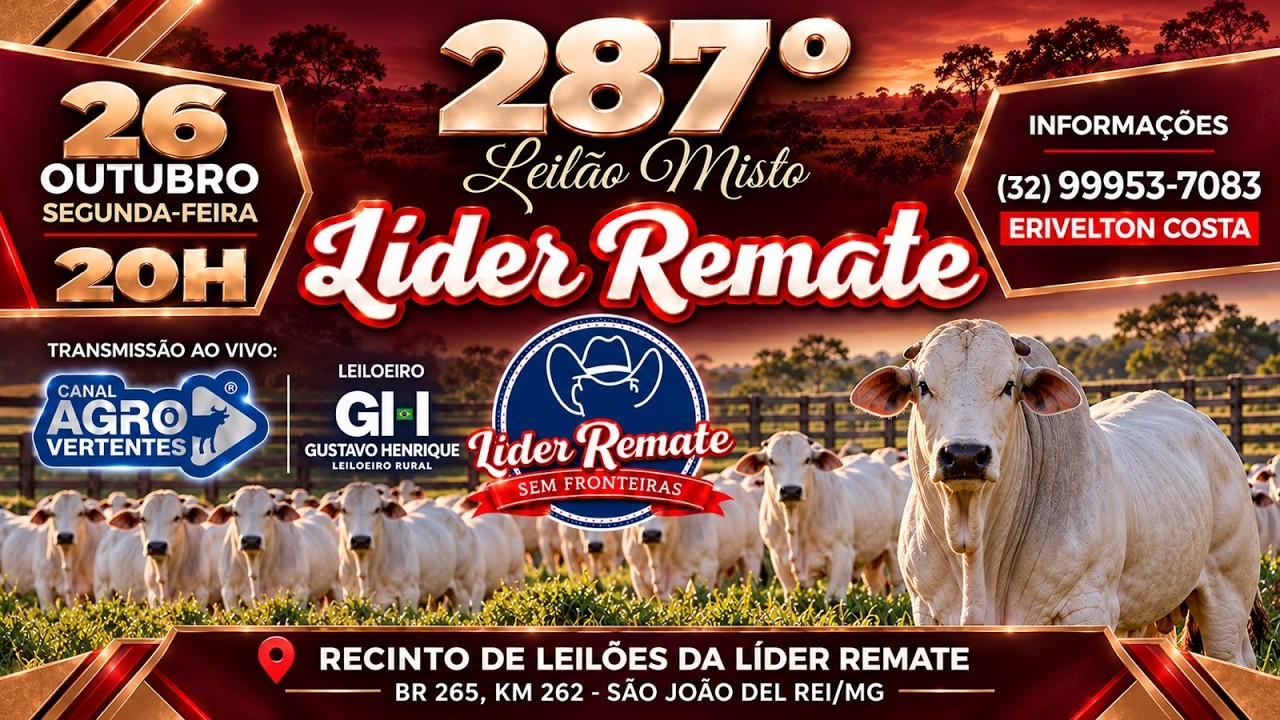 287º LEILÃO MISTO LÍDER REMATE - SÃO JOÃO DEL REI/MG - 26/10/2026