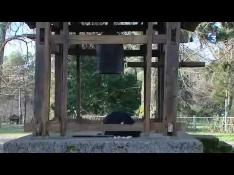 " Zen, restons Zen " avec la nonne zen Marie-Thérèse Faur -