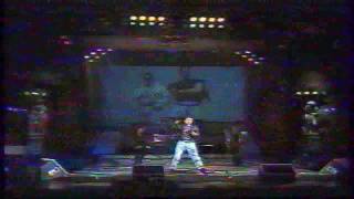 Boytronic Russian TV I will survive