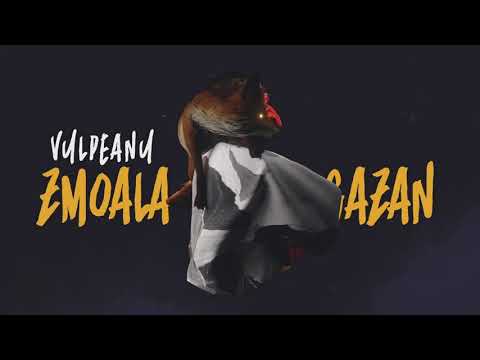 NEAMU ȘOIMĂREȘTILOR