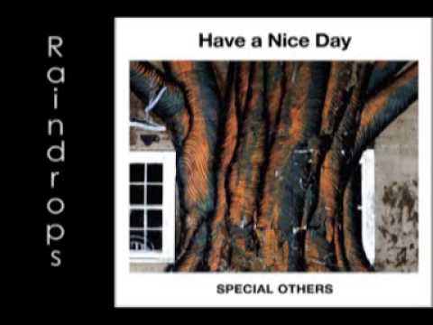 Special Others - Raindrops