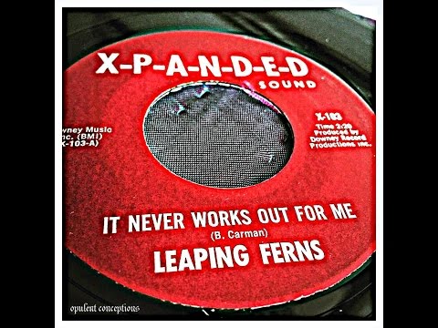 THE LEAPING FERNS - IT NEVER WORKS OUT FOR ME