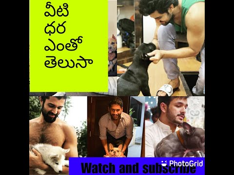 HEROES LOVE TOWARDS THEIR PETS