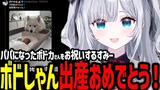 パパになったボドカさんをお祝いするすみー【ぶいすぽっ！/花芽すみれ】