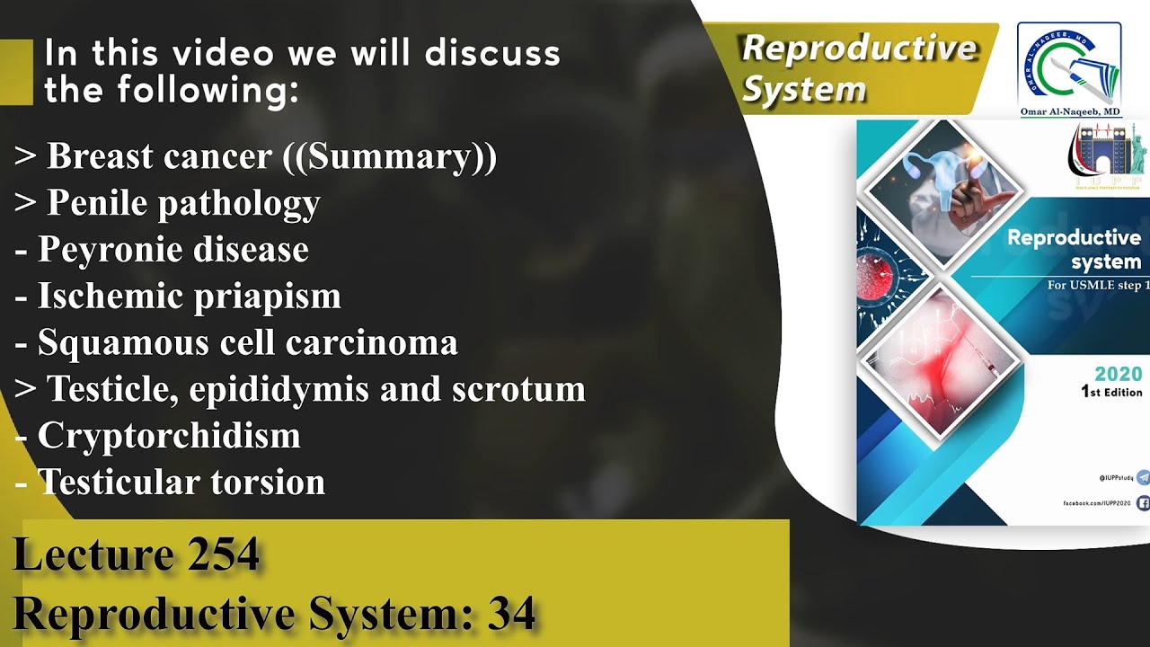 Peyronie disease | Ischemic priapism | Cryptorchidism | Testicular torsion