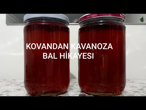 , title : 'BAL SAĞIMI / KOVANDAN KAVANOZA BIR ŞİFA HİKAYESİ'