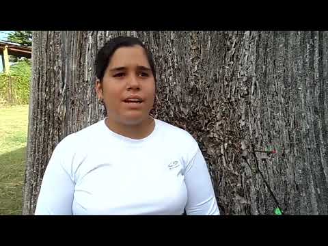 Arco y flecha escolar de Cienfuegos con récords nacionales