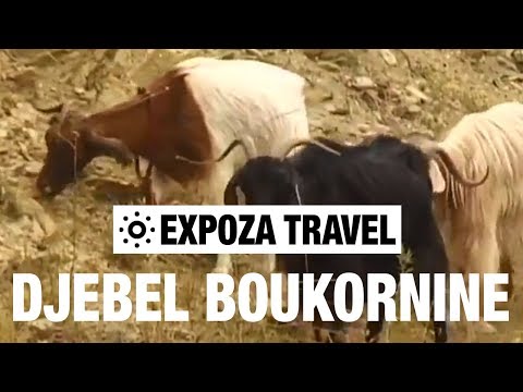 Djebel Boukornine (Tunisia) Vacation Travel Video Guide