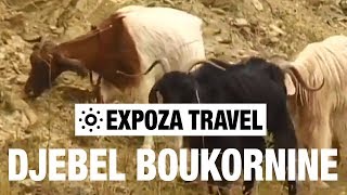 Djebel Boukornine (Tunisia) Vacation Travel Video Guide