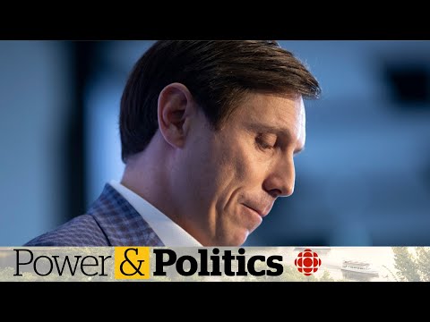 Patrick Brown blames ouster on Conservative establishment