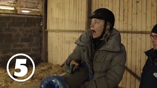 Hingsten är redo och Carina Berg är livrädd | Världens tuffaste jobb med Carina Berg