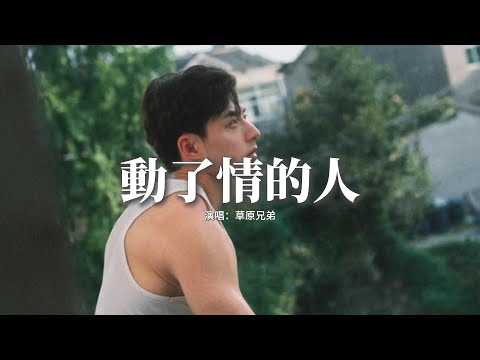 草原兄弟 - 動了情的人『動了情的人才會覺得夜漫長，畢竟放不下的心事最難藏，誓言說的漂亮不過是你撒的謊，留我一個人空想到天亮。』【動態歌詞MV】