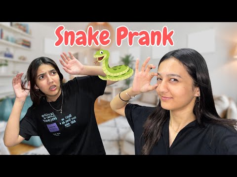 Snake prank with Zainab | Rabia Faisal | Sistrology