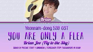 Brian Joo (브라이언) - You Are Only A Flea (뛰어봤자 벼룩) (Color Coded Lyrics) [English subs + Rom + Hangul]