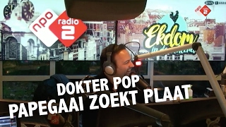 Papegaai Kip zoekt een liedje bij Dokter Pop Gerard Ekdom