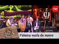 Paloma vuela de nuevo - Illapu | Festival del huaso de Olmué 2019 | Buenos días a todos