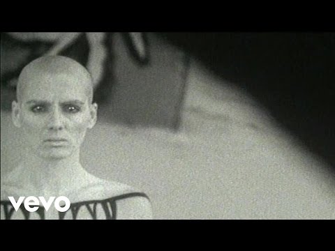 Delerium - Flowers Become Screens