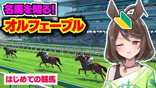 【競馬初心者】オルフェーヴルを知りたい！！【フリーマンおるそなー】