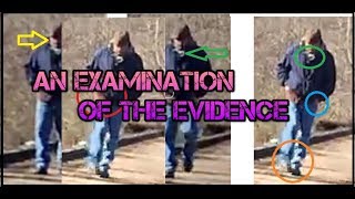DELPHI MURDERS SUSPECT PHOTOS - AN EXAMINATION