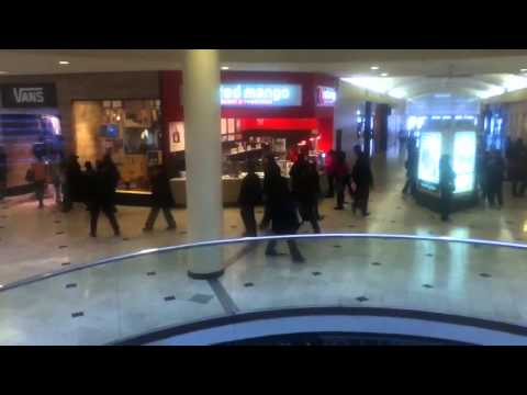 Dover Chewbacca Hydraulic Scenic Elevator At Roosevelt Field Mall In Garden City NY